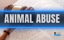 2 Missing Dogs at Center of Anoka County Animal Cruelty Case