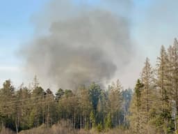 Dozens Evacuated as Growing Wildfire Threatens Homes in St. Louis County