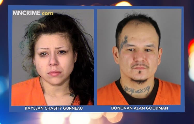 CHARGES: Dog Thrown From Vehicle, Victims Carjacked During Crime Spree