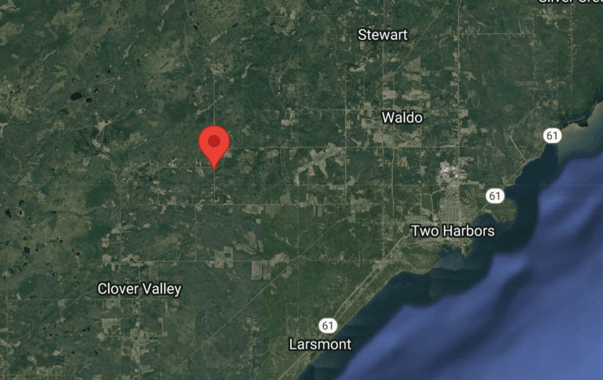 Man Fatally Struck by Tree While Snowblowing