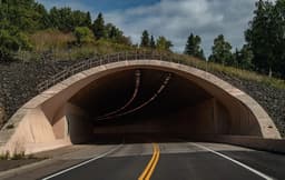 North Shore Tunnel Crash Leaves Worker, Driver Critically Injured