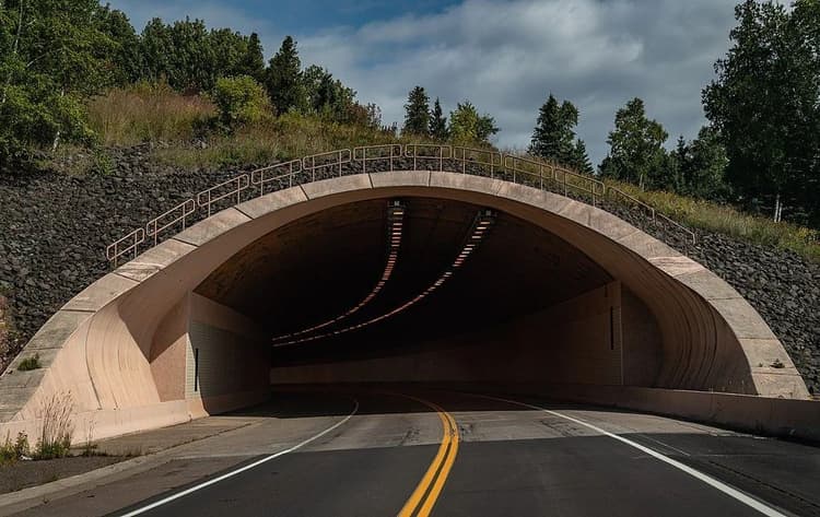 North Shore Tunnel Crash Leaves Worker, Driver Critically Injured