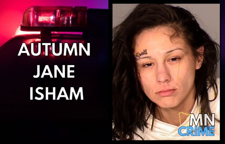 Purse Thief Nabbed by Elderly Victims' Saint Paul Stakeout Has Long Criminal History Across Minn.