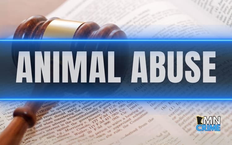 St. Cloud Couple Charged After Dog Found Starved, Injured