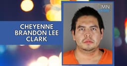 Suspect Charged After Man Stabbed in Stomach While Walking Dog