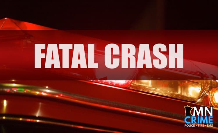 2 Teens Dead After Late-Night Crash in Saint Paul