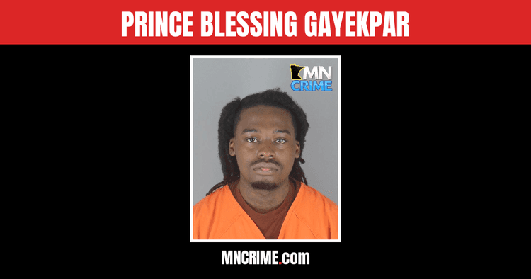 Brooklyn Park Man Charged in $2,800 Gunpoint Robbery, Carjacking