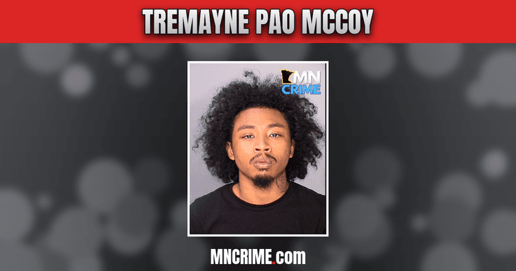 Assault Near Saint Paul Basketball Courts Leads to Robbery Charge